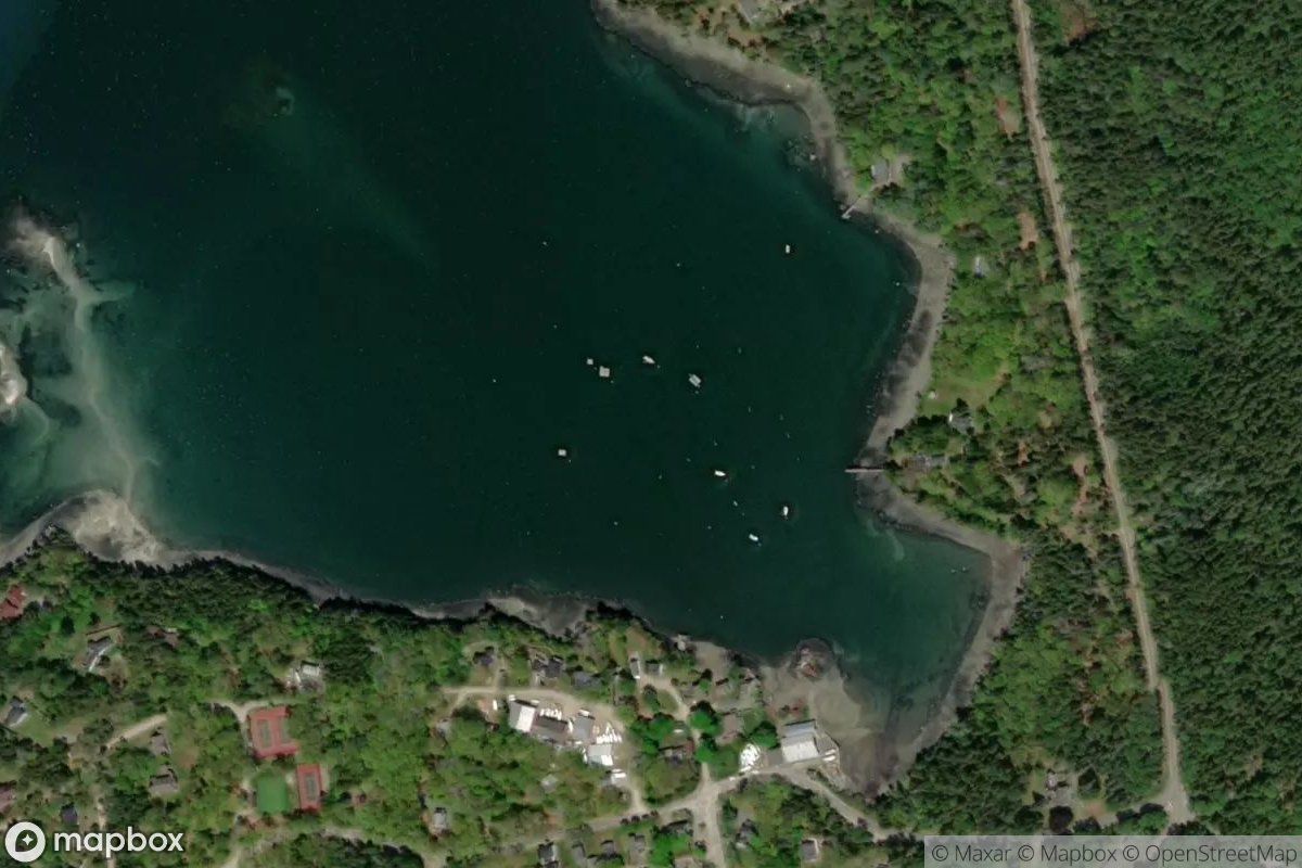 Satellite view of Back Cove Marina