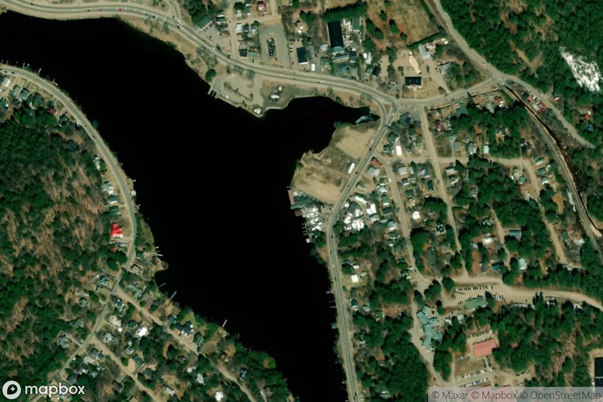 Satellite view of Fogarty's Lake Flower Marina