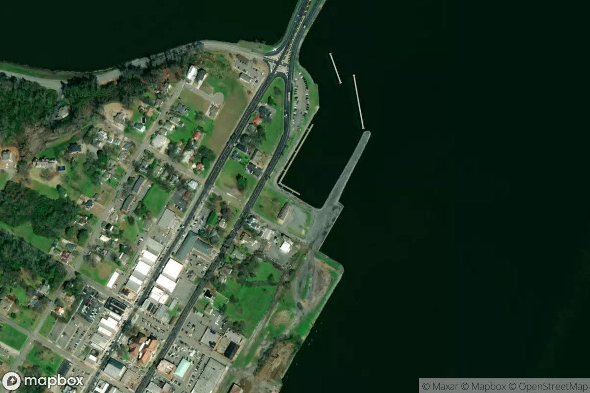 Satellite view of Guntersville City Harbor