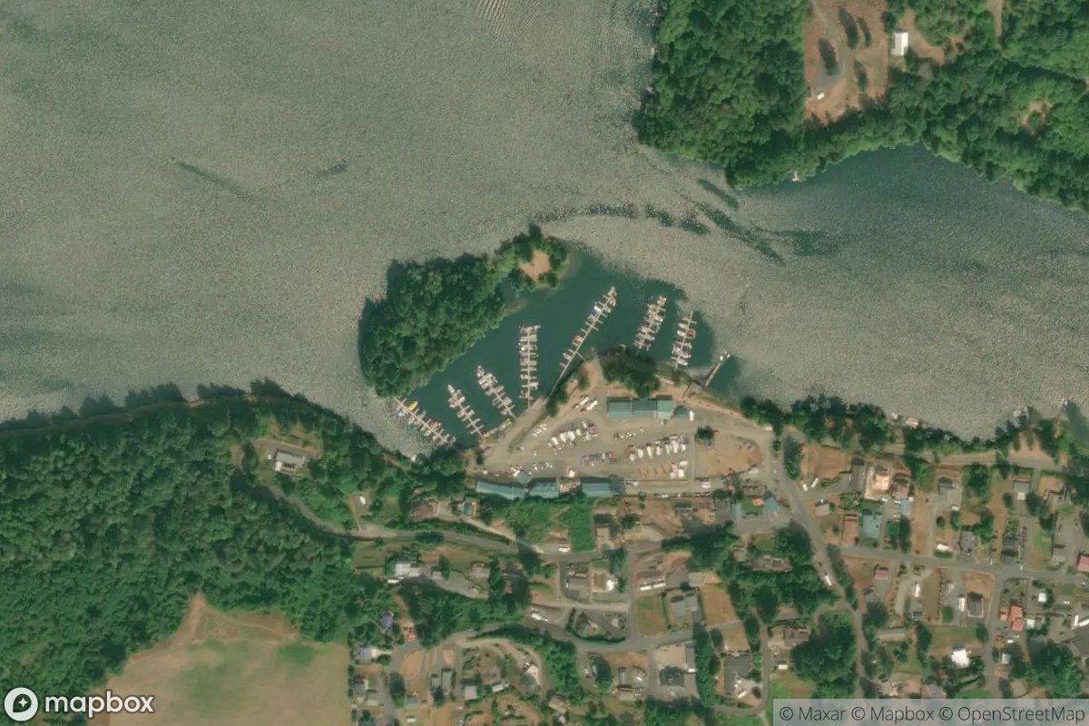 Satellite view of Lake Mayfield Marina