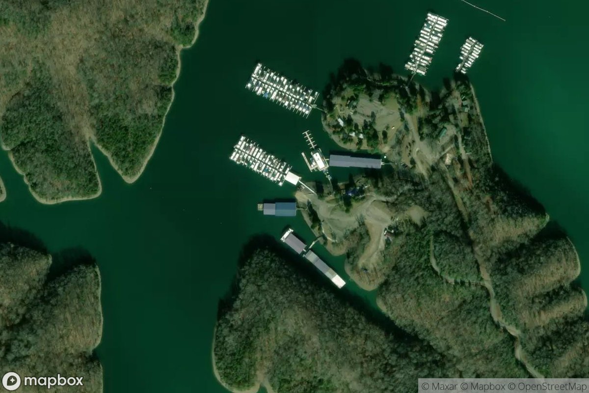 Satellite view of Livingston Boat Dock