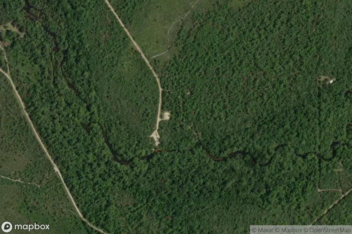 Satellite view of Marina at 29.0471, -81.5076