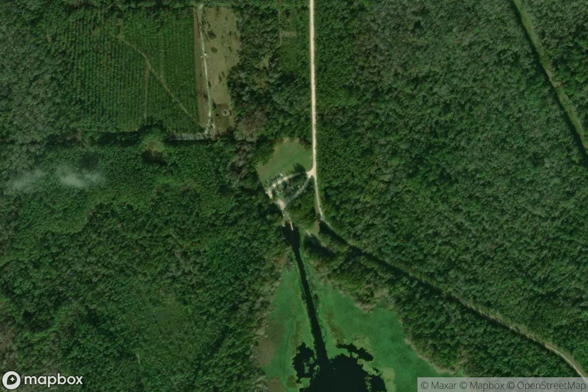 Satellite view of Marina at 29.5257, -81.8779