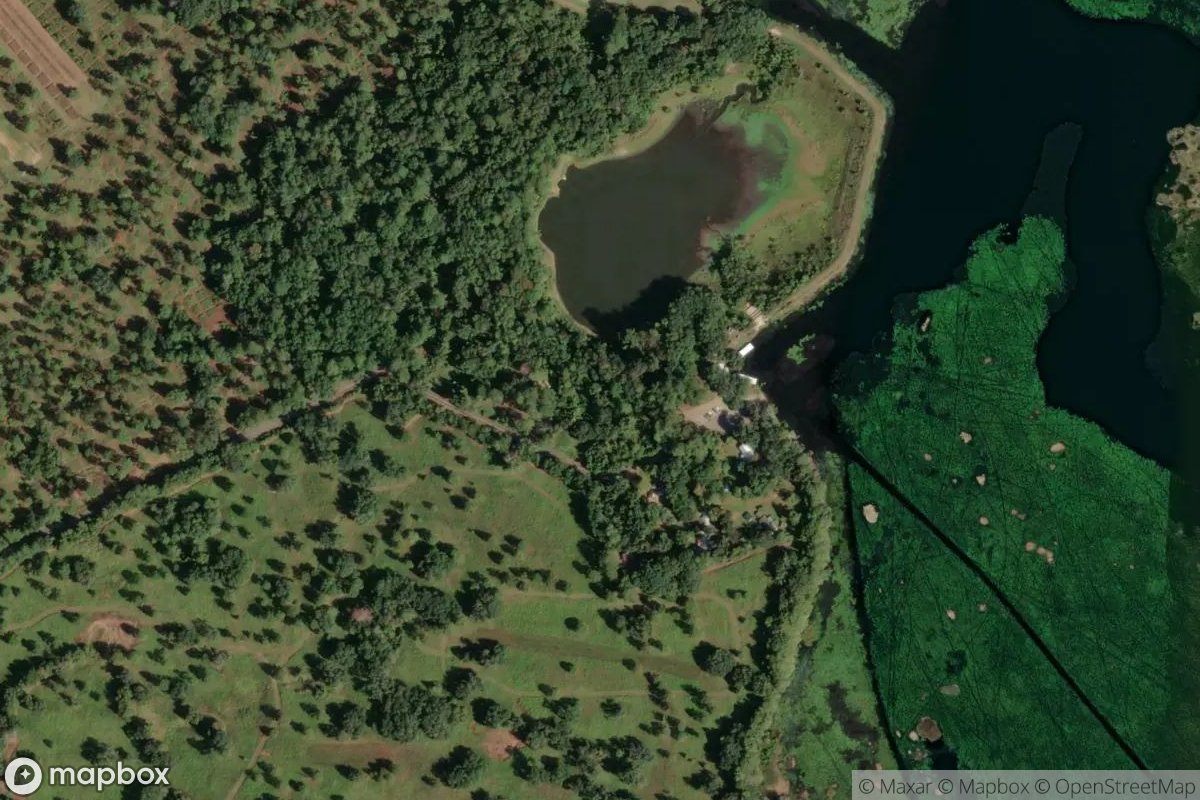 Satellite view of Marina at 30.6044, -84.0061