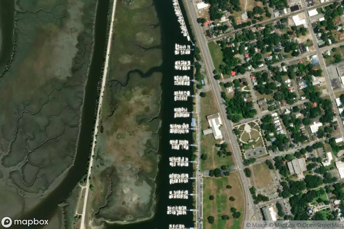 Satellite view of Marina at 31.1561, -81.4999