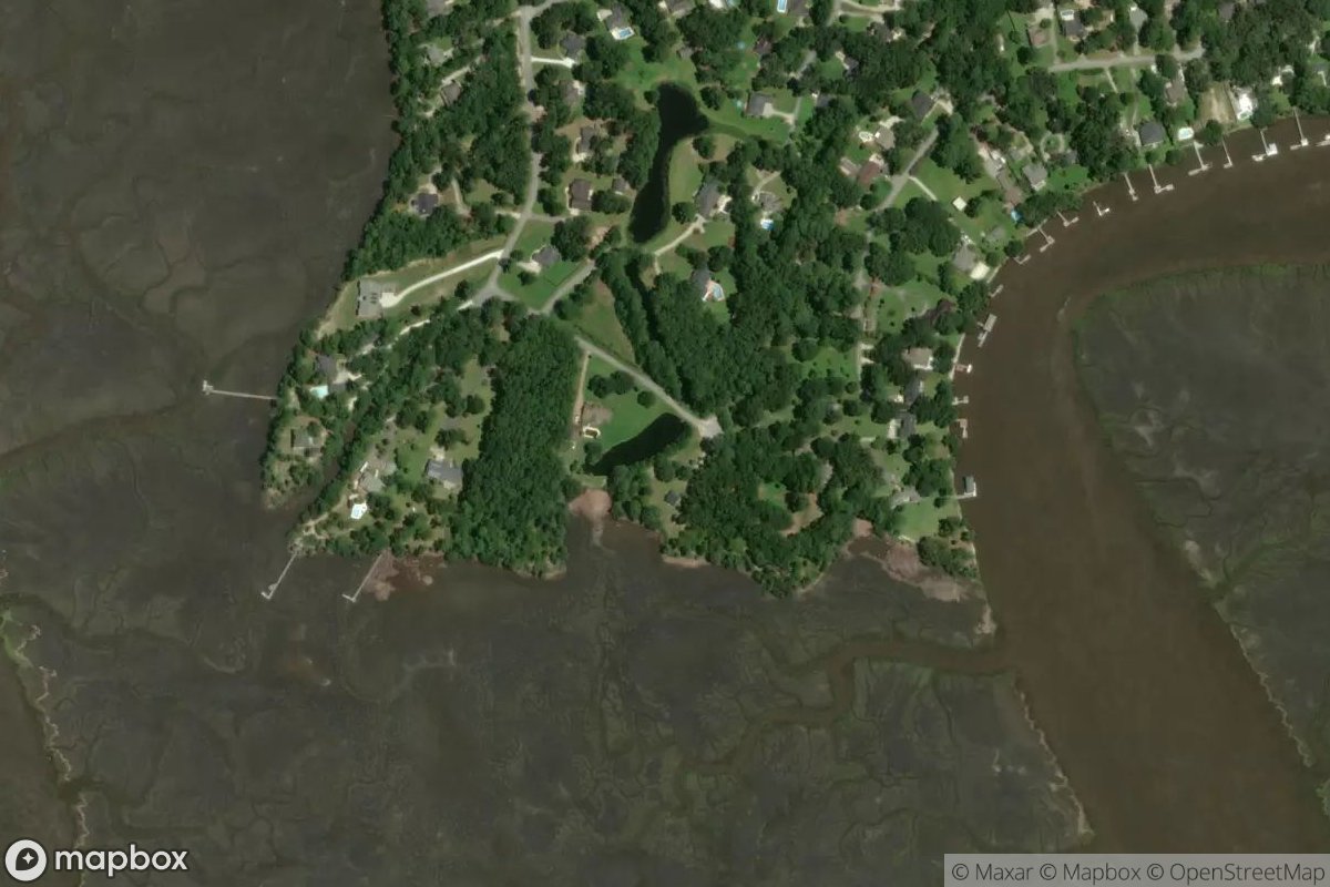 Satellite view of Marina at 31.8203, -81.3065