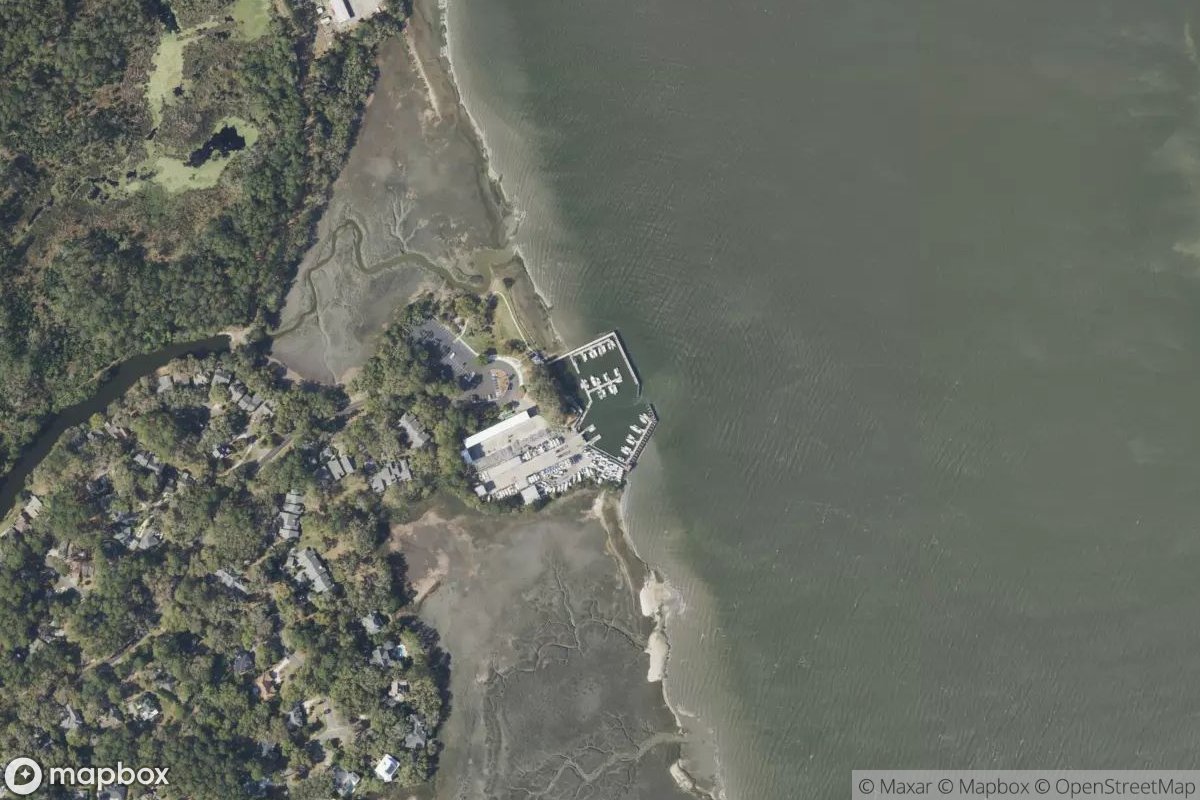 Satellite view of Marina at 31.9584, -81.0111