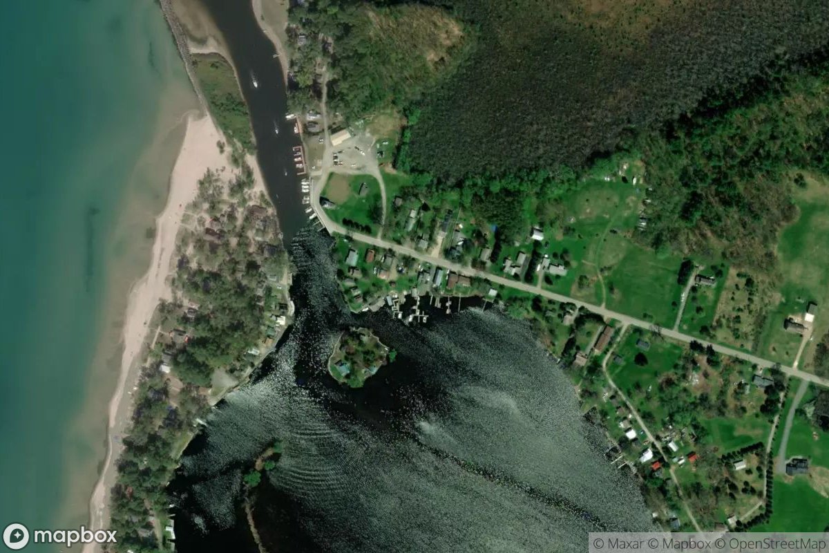 Satellite view of Selkirk Marina
