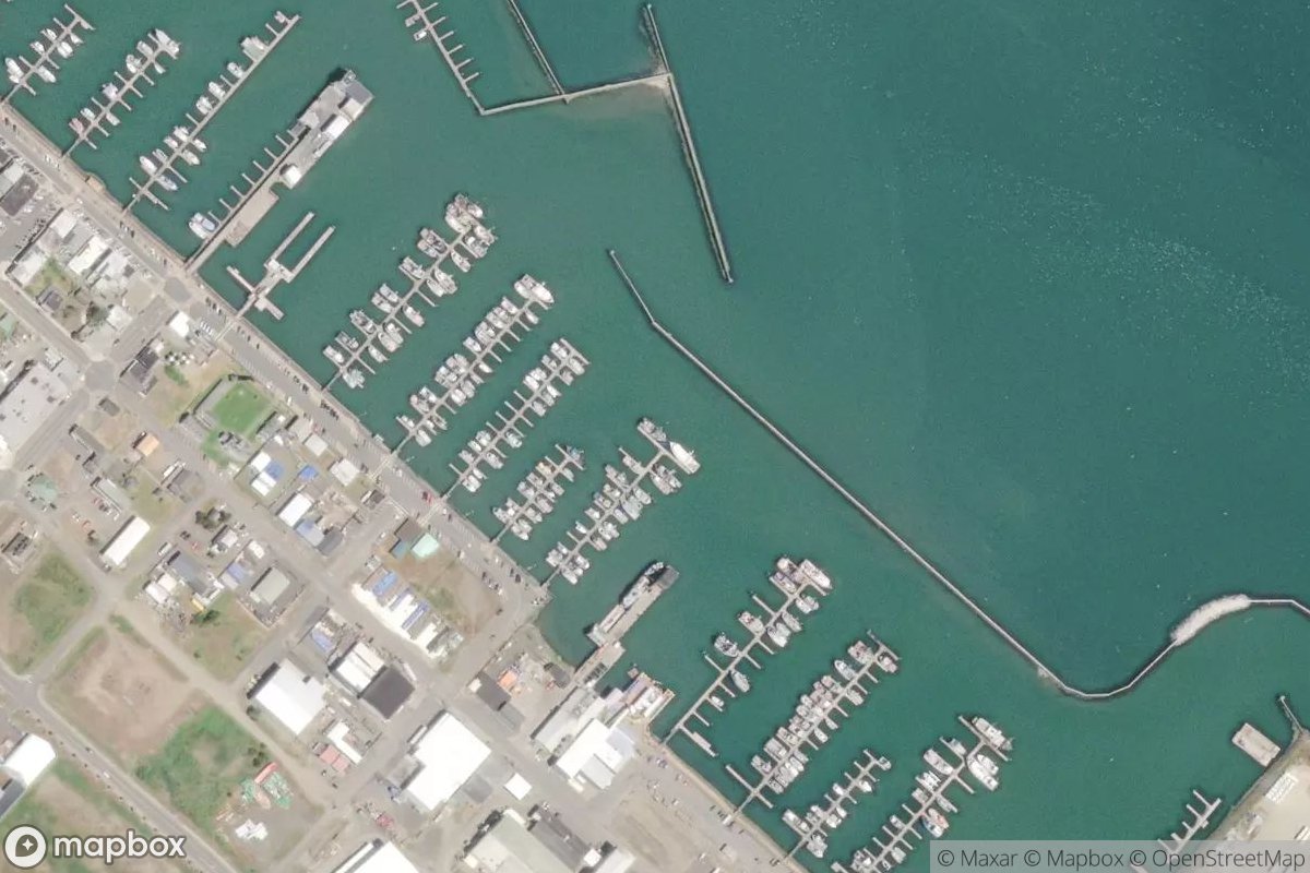 Satellite view of Westport Marina
